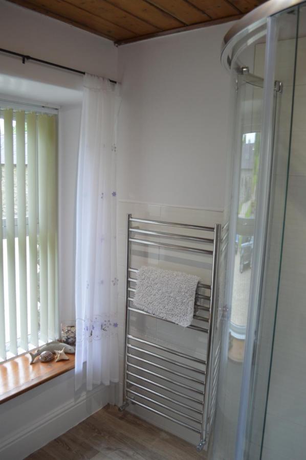 קרדיגן Troedyrhiw Bed & Breakfast מראה חיצוני תמונה
