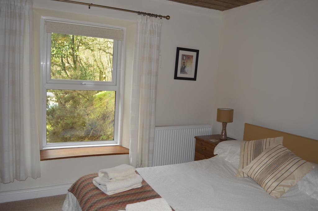 קרדיגן Troedyrhiw Bed & Breakfast חדר תמונה